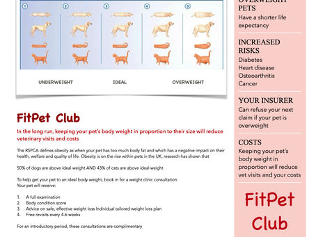 FitPet Club, A Complimentary Service from CareVets