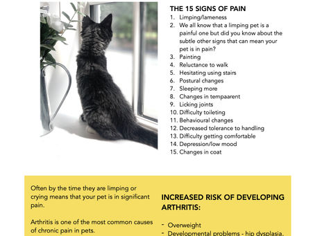 ACUTE and CHRONIC PAIN