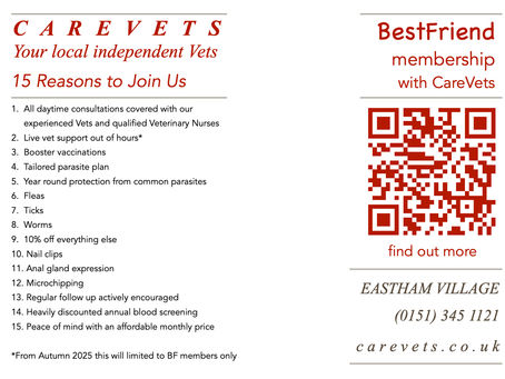 15 REASONS TO JOIN BESTFRIEND.