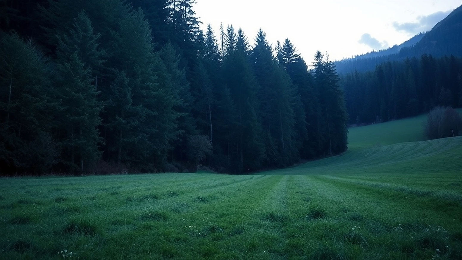grass lands in germany.jpg
