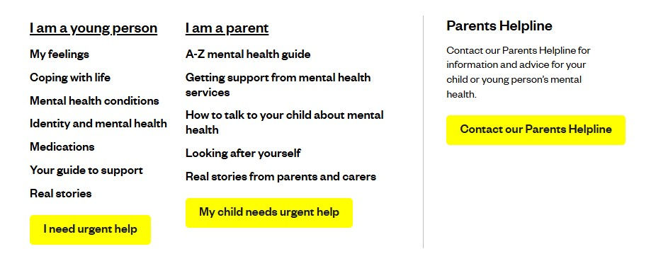 Youngminds screenshot.jpg