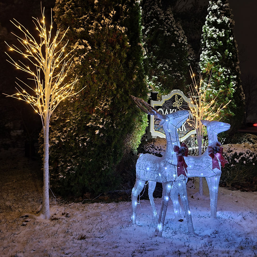 Winter Lights 2025/2026