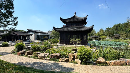 🌿 Suzhou: tra natura e canali