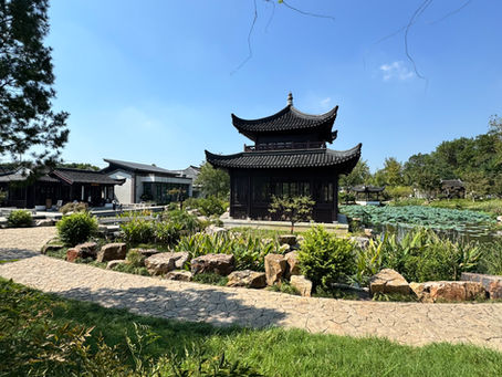 🌿 Suzhou: tra natura e canali