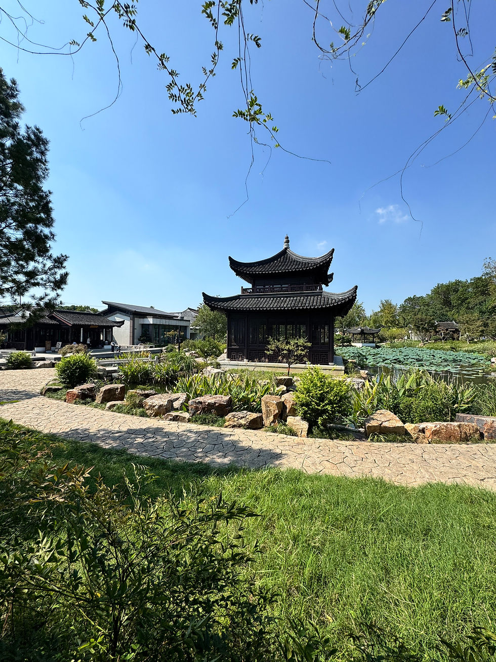 🌿 Suzhou: tra natura e canali