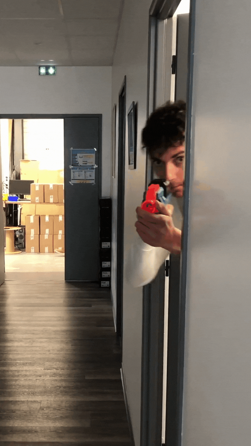 Sylvain GIF.gif