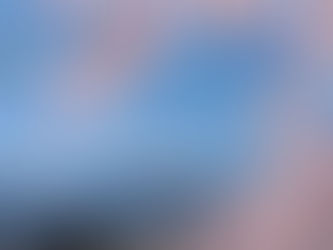 2000年の生命力に身を委ねる。八ヶ岳「庭先トレイル」で、春の呼吸を取り戻す旅。