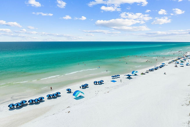 grayton beach homes for sale florida.jpeg