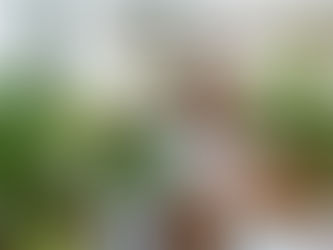 The Best Coffee in 30A & Destin Coffee Shops Guide