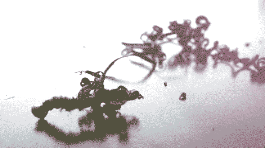 WB-Close-trypa-1-&-Ink-1_8bit.gif