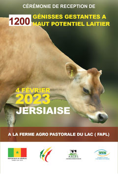 JERSIAISE 03-01.jpg