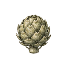 codex-clipboard-4e4abd4c-aa34-4320-8a21-d10d8c043f5d.png