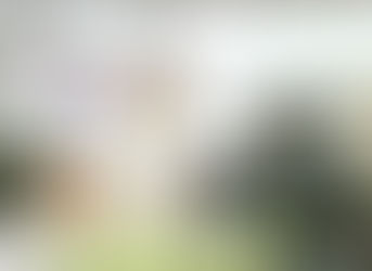 Exposición "IMAGEN 2015" CASA MUSEO GRAU