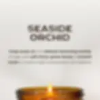 Wild Honey scented soy candle scent description