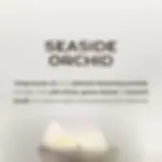 Seaside Orchid soy wax melts description