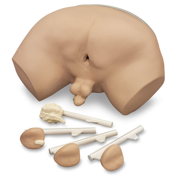 LIFE/FORM® Prostate Examination Simulator