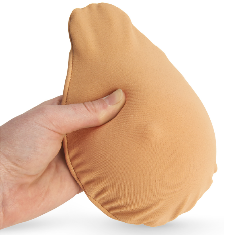 Thumbnail: Breast Model with Interchangeable Nodules