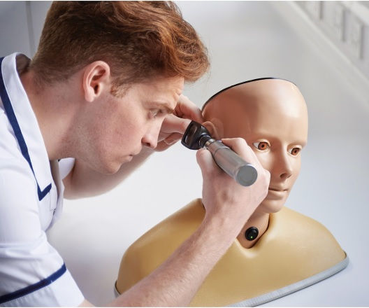 Thumbnail: Digital Ear Examination Trainer - LIGHT