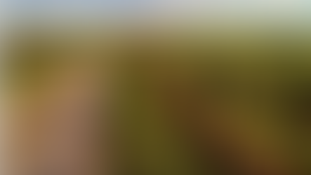 Wie es Deine Bilder in Presseartikel schaffen + Fototipp