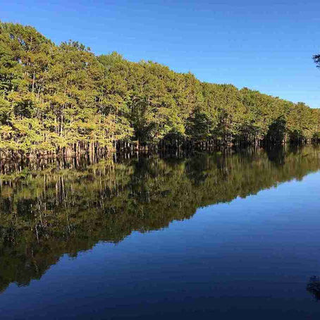 Top Home Internet Options in Karnack, TX 75661: Wireless, 5G, and Reliable Local Providers