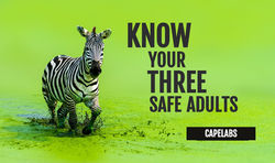 Training Key Concepts