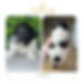 070589d0-b6c0-45c8-aeb9-8b281e10d41a.jpeg