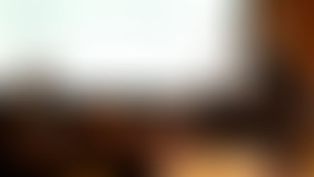 Palestra: Foreac Sudeste