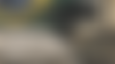 Quando a Democracia Falha: A Lição da CPMI do INSS