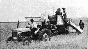 Agricultura e Reinflação