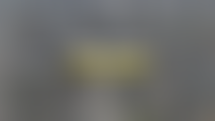 Para o governo o acionista é cruel explorador