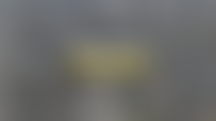 Para o governo o acionista é cruel explorador