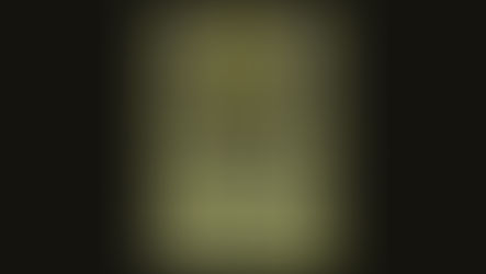 Livro: Imposto Único Sobre Transações (Prós e Contras) (parte 2/2)