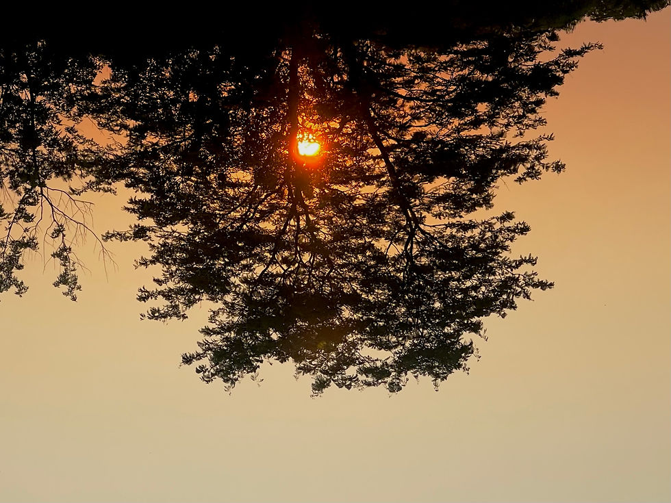 Sun Rising