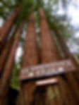 JayWatanPicSDR-768x1024.jpg