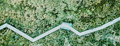 Aerial View of a Field