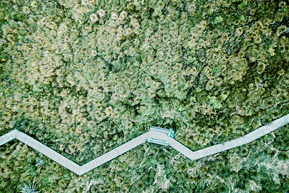 Aerial View of a Field