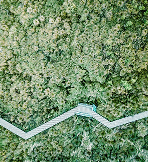 Aerial View of a Field