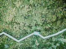 Aerial View of a Field