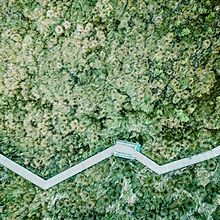 Aerial View of a Field