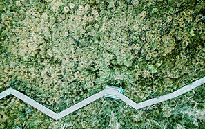 סמינר ארכימדס | מי הזיז את האקלים שלי? נקודות מבט שונות על שינויי האקלים באמצעות למידת מכונה