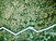 Aerial View of a Field
