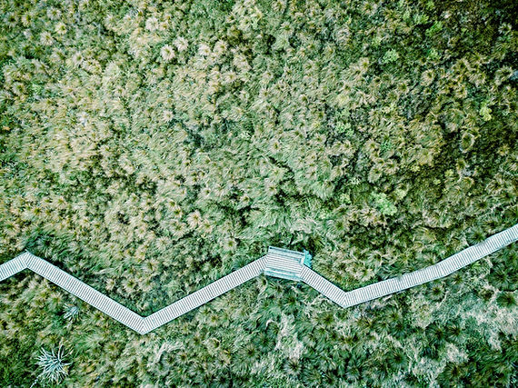 Luchtfoto van een veld