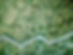 Aerial View of a Field