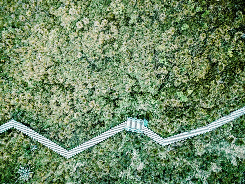 Aerial Wooden Pathway