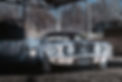 Mustang 28 02 2026-21.jpg