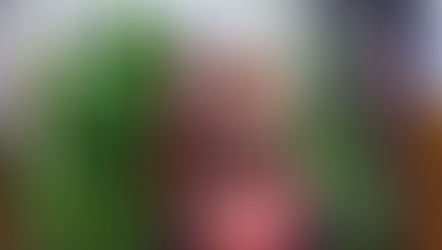 lulu letters: month 26