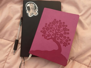Journaling: A Thought Daughter's Vessel