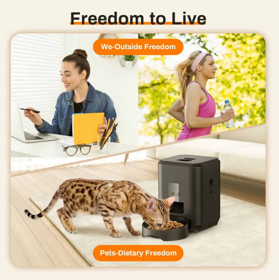 Thumbnail: Automatic Pet Feeder