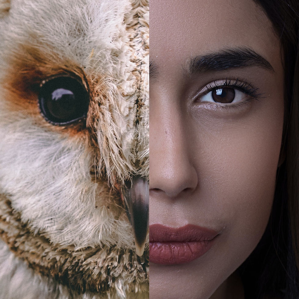 35 Sneaky Animal Ingredients in Your Makeup You Never Knew