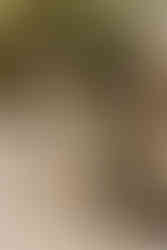 Chalkboard of bride & grooms name with a sign to the wedding ceremony venue